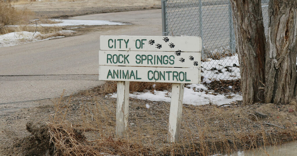 Veterinarian Services Will be Provided at Animal Control Shelter