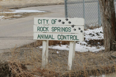 Veterinarian Services Will be Provided at Animal Control Shelter