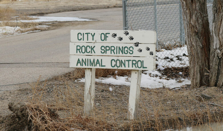 Veterinarian Services Will be Provided at Animal Control Shelter