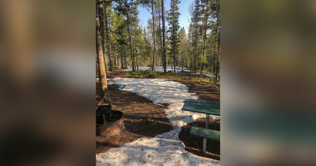 Atlantic City Area Campgrounds Are Now Open