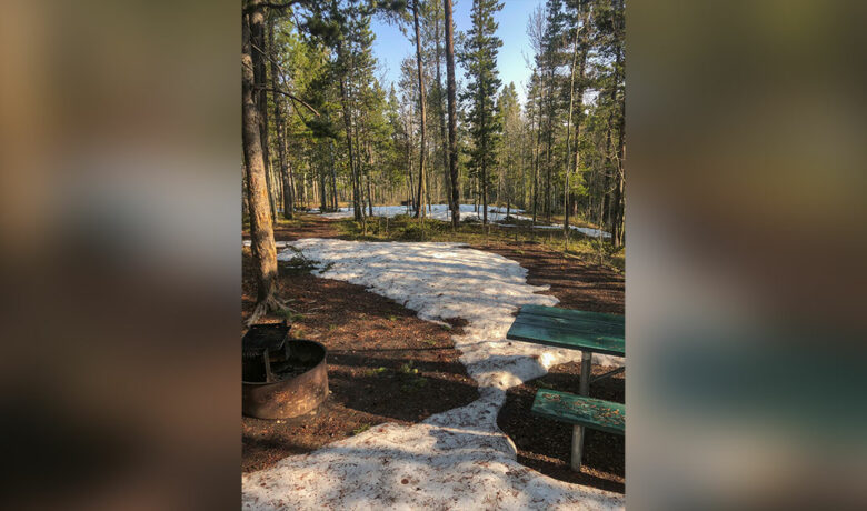 Atlantic City Area Campgrounds Are Now Open