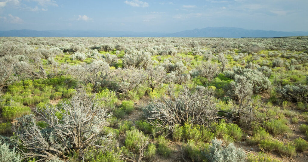 Steamboat Mountain Area to be Temporarily Closed to Motorized Vehicles