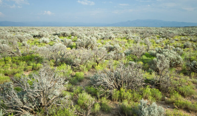 Steamboat Mountain Area to be Temporarily Closed to Motorized Vehicles