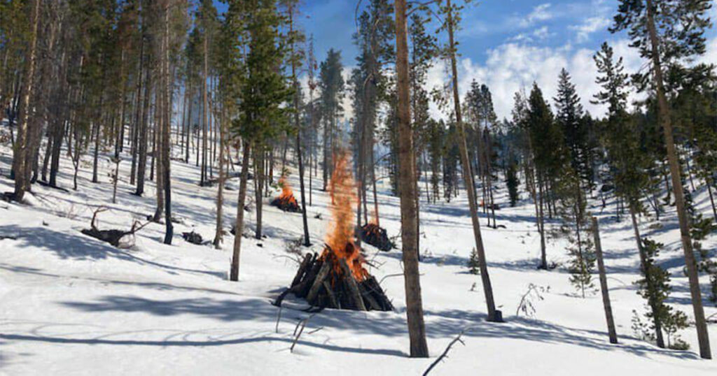 Bridger Teton National Forest to Begin Burning Slash Piles