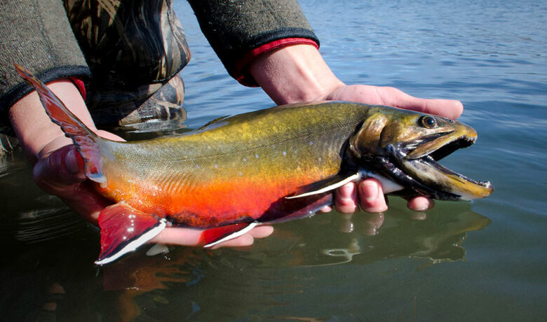 Soda Lake Fishing Opener Delayed Until May 15