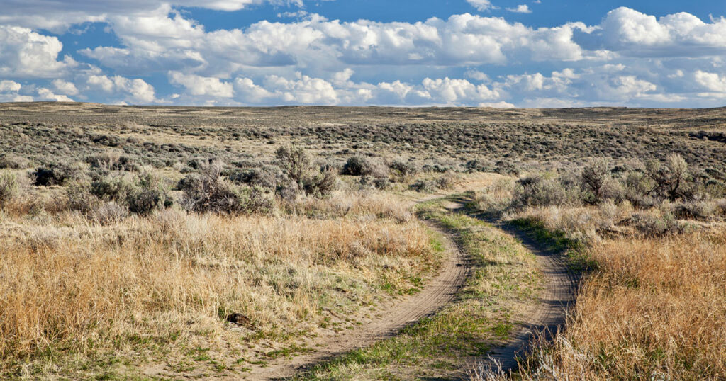BLM Releases Resource Management Plan; Governor Gordon Responds