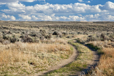 BLM Responds to Allegations Over Rock Springs Proposed Environmental Impact Statement