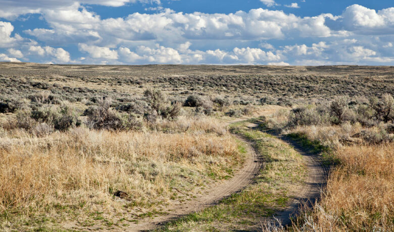 BLM Releases Resource Management Plan; Governor Gordon Responds