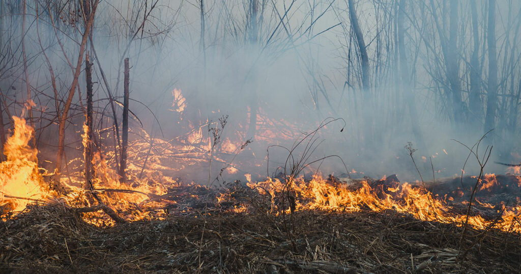BLM Warns Recreationists of Fire Danger