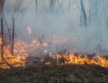 Sublette County Enacts Stage 1 Fire Restrictions