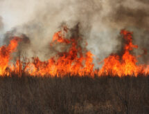 Commissioners Approve Modified Fire Restrictions Wednesday