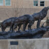 GRHS Wolves Statue
