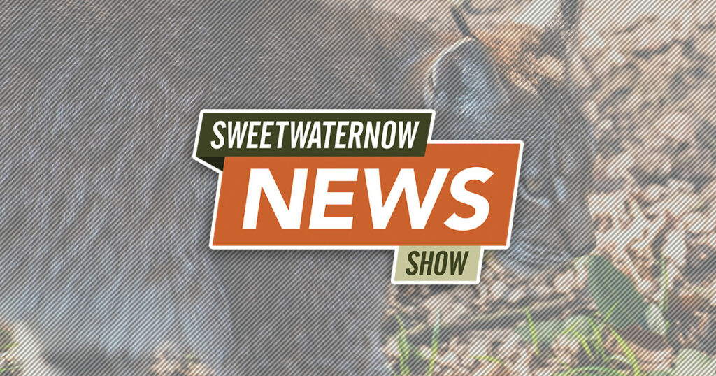 SweetwaterNOW News Show: Man Placed on Probation After Releasing Bobcat from Trap￼