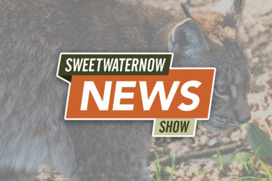 SweetwaterNOW News Show: Man Placed on Probation After Releasing Bobcat from Trap￼