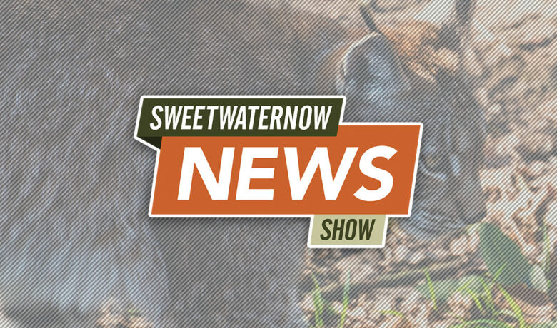 SweetwaterNOW News Show: Man Placed on Probation After Releasing Bobcat from Trap￼