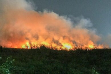WGFD Issues Fire Ban on Uinta County Lands
