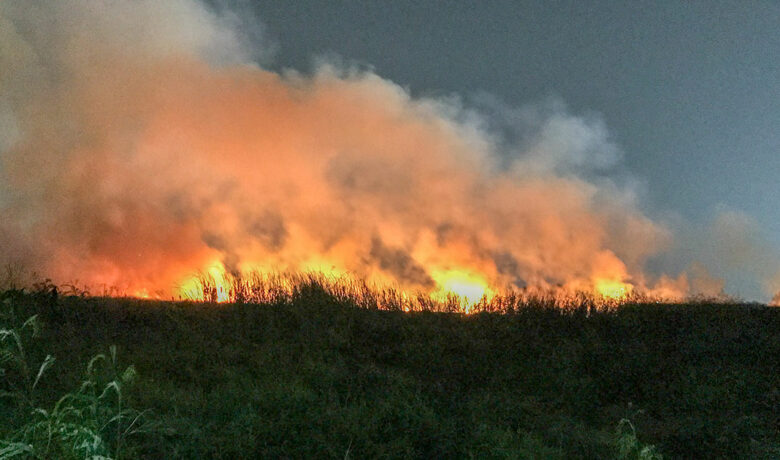 WGFD Issues Fire Ban on Uinta County Lands