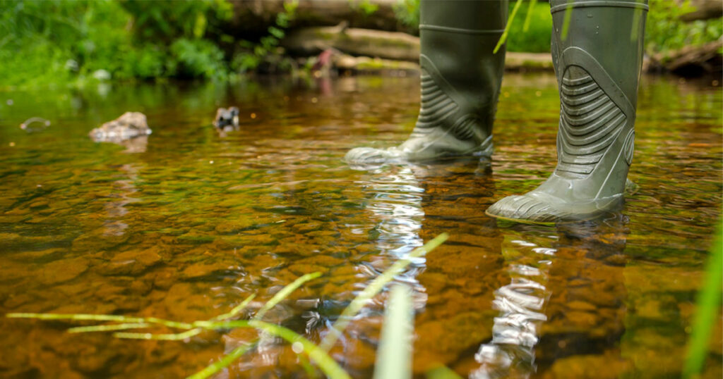 WDH Provides Tips to Help Avoid Common Summer Illnesses￼