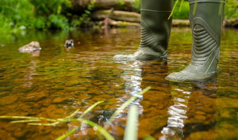 WDH Provides Tips to Help Avoid Common Summer Illnesses￼