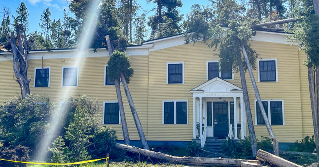 Several Hundred Trees Blown Down by Storm in Yellowstone National Park