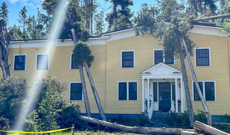 Several Hundred Trees Blown Down by Storm in Yellowstone National Park