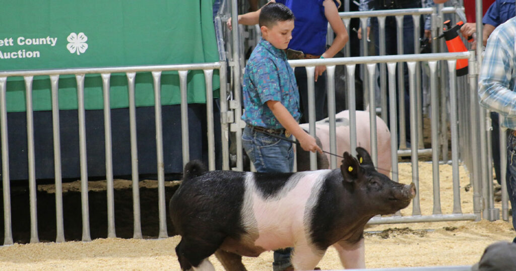 Over $492K Raised at Wyoming’s Big Show 4-H/FFA Livestock Auction