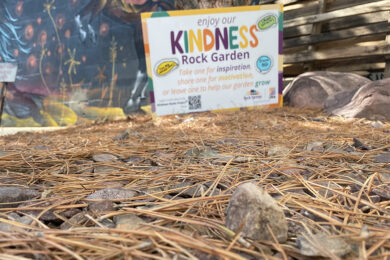 Spreading Kindness One Rock at a Time