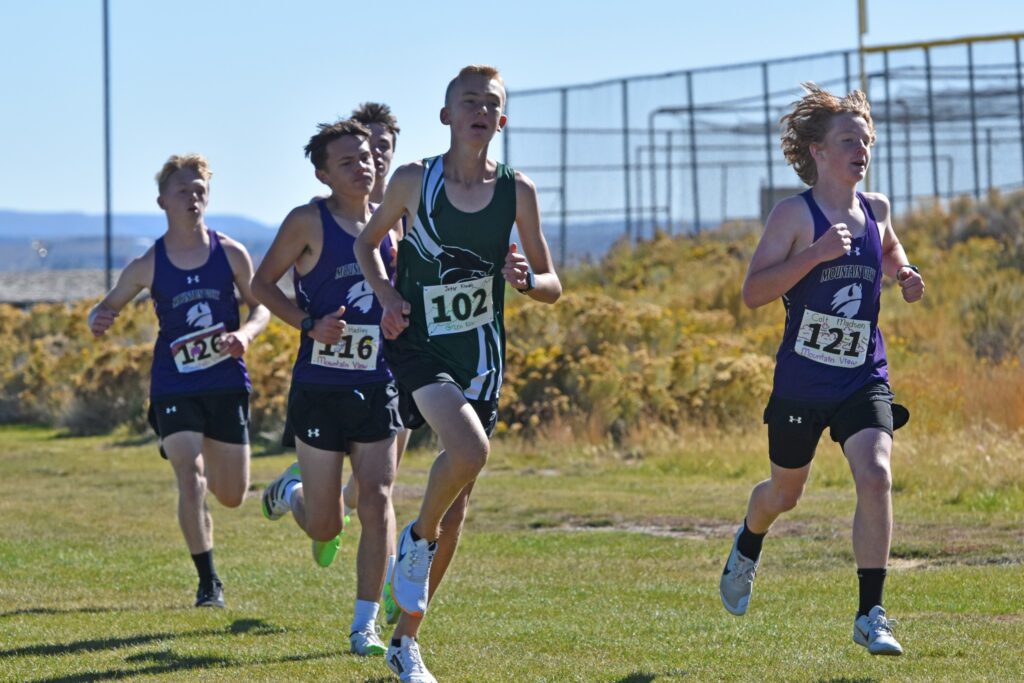 Wolves and Tigers State Cross-Country Results