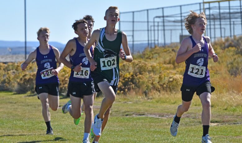 Wolves and Tigers State Cross-Country Results