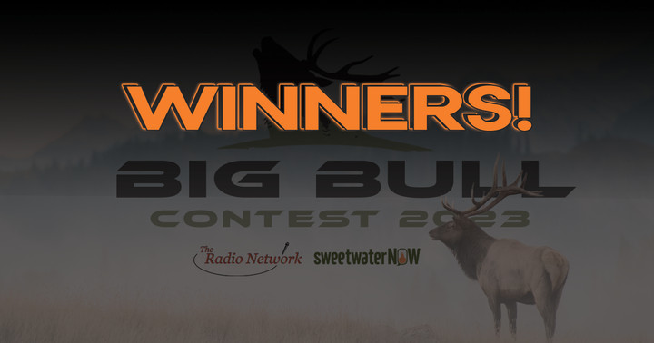 The 22nd Big Bull Contest Results ARE IN