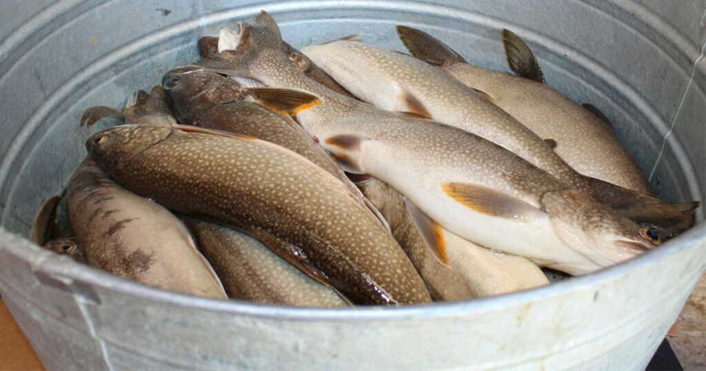 Anglers Can Donate Their Contest Catch