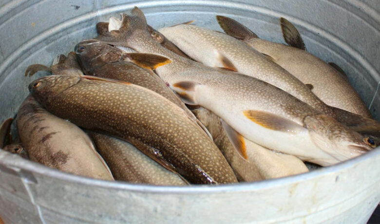 Anglers Can Donate Their Contest Catch