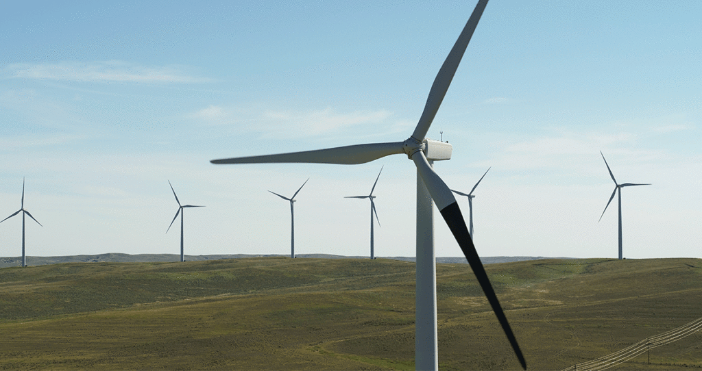 PacifiCorp Moves Forward with Study on Bird Safety Near Wind Turbines