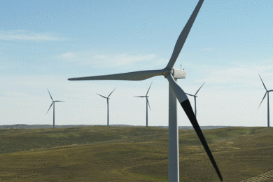 PacifiCorp Moves Forward with Study on Bird Safety Near Wind Turbines