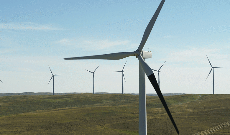 PacifiCorp Moves Forward with Study on Bird Safety Near Wind Turbines