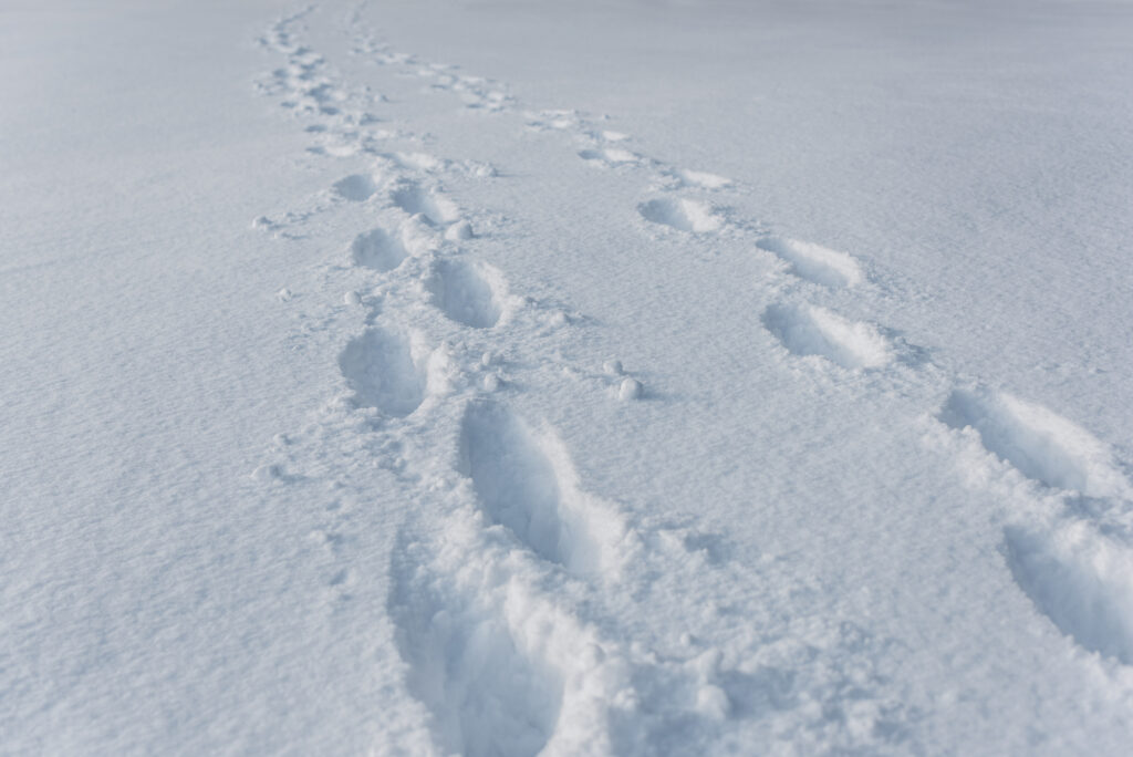 Weather Forecast for Sunday, January 14, 2024