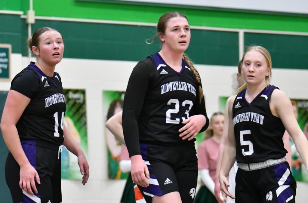 Buffalos Defeat Rival Eagles Then Drop Both Games Against Pinedale