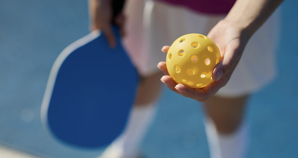 Pickleball is in a Pickle: Sport Under Fire at GR Council Meeting