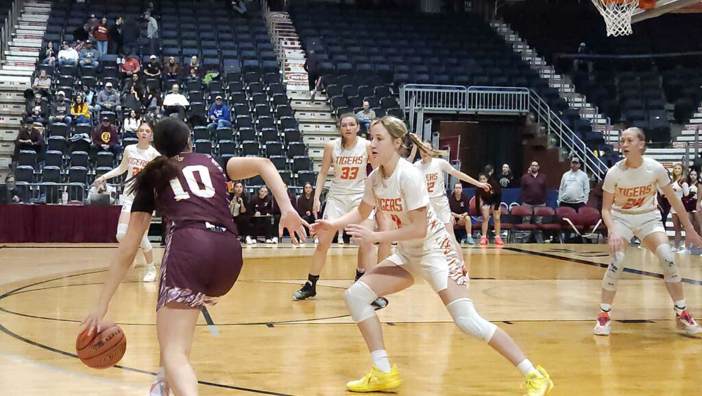 Rock Springs Lady Tigers Finish Season With State Appearance