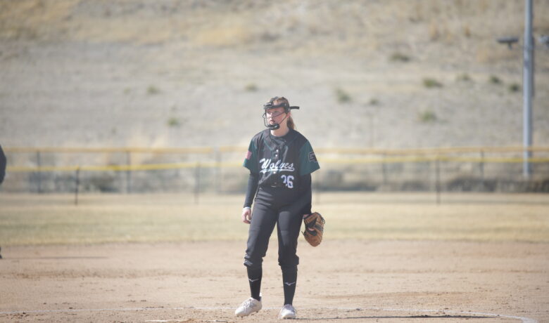 Wolves and Tigers Clash on the Diamond