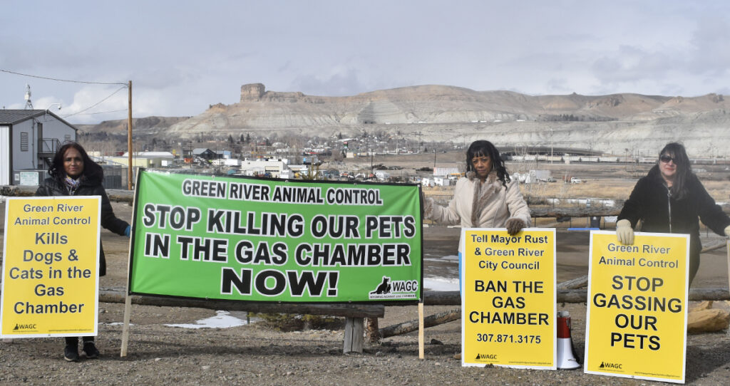 Green River City Council To Vote on Ban of Gas Euthanasia for Animal Shelter