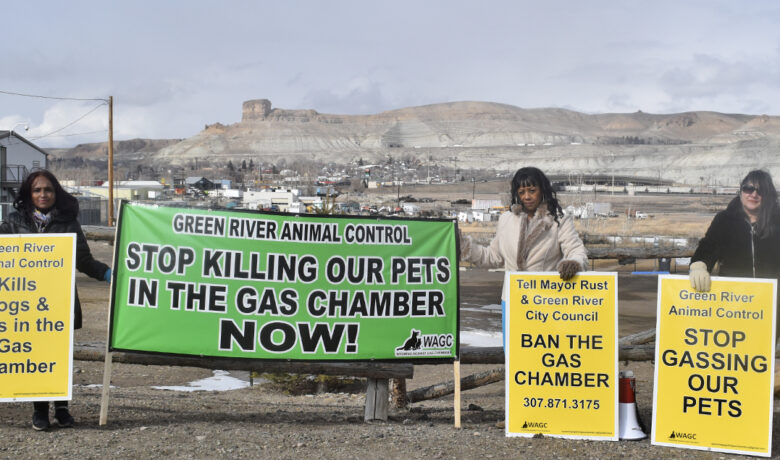 Green River City Council To Vote on Ban of Gas Euthanasia for Animal Shelter