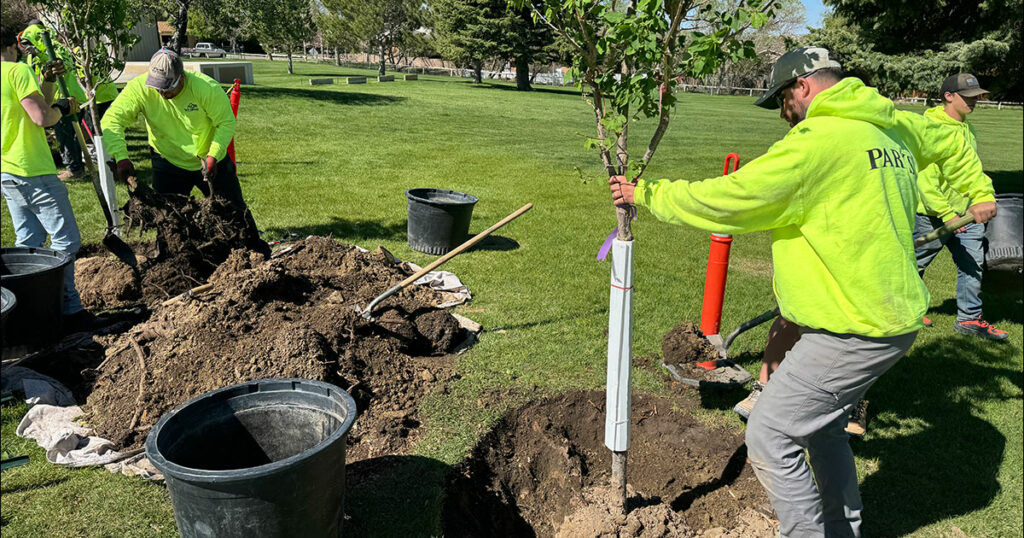 Arbor Day Celebrated in Rock Springs