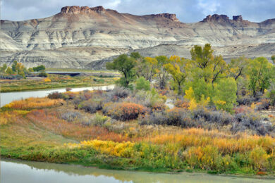 Third ‘Plein Air’ Competition Announced