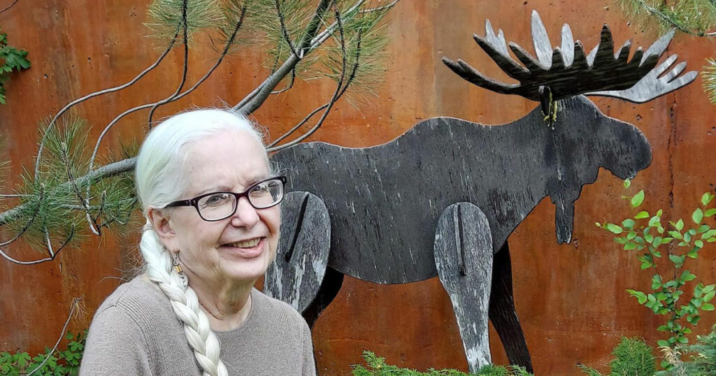 Zanetti Seeks Election to Senate District 12