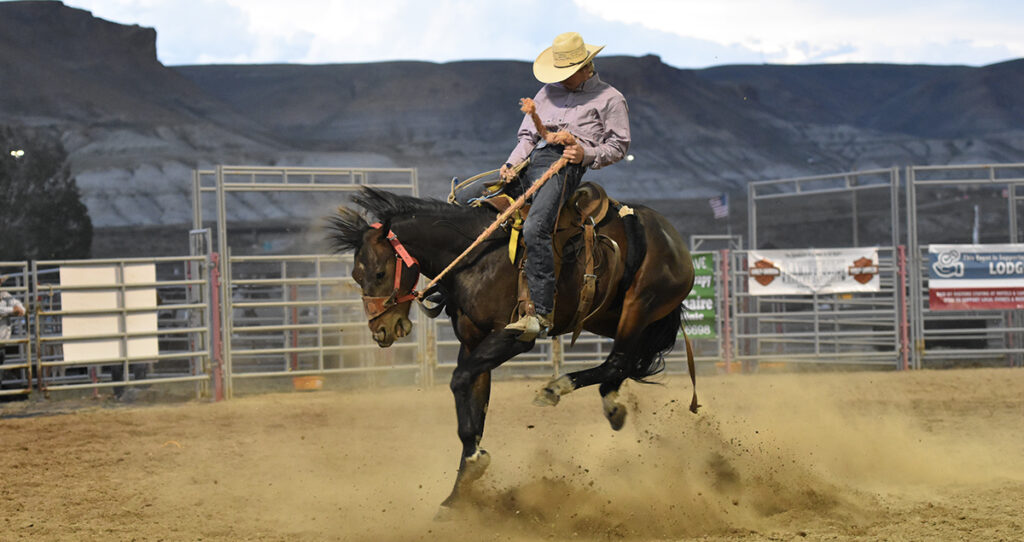 Overland Stage Stampede Rodeo Committee Issues Statement on Death of Two Horses