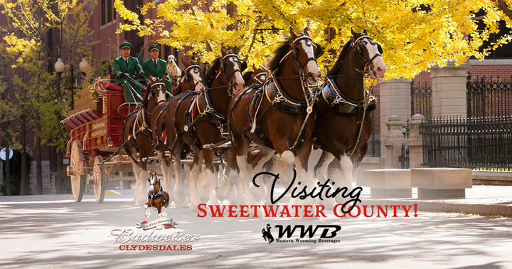 Western Wyoming Beverage is Proud to Announce Budweiser Clydesdales to Visit Sweetwater County to Celebrate Trona and Folds of Honor.