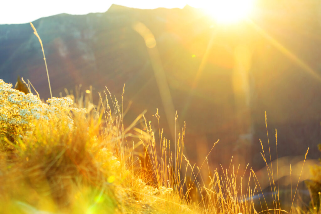 Weather Forecast for Sunday, September 1, 2024