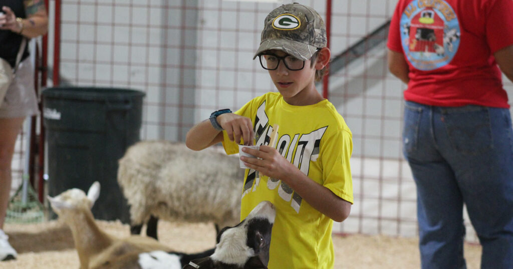 Fair’s Petting Zoo Offers a Chance to Enjoy Farm Animals