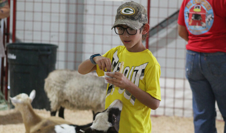Fair’s Petting Zoo Offers a Chance to Enjoy Farm Animals